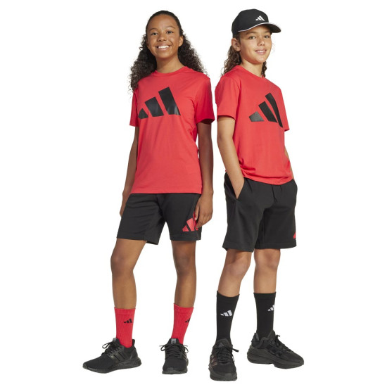 Adidas Παιδικό σετ Essentials Big Logo Shorts & Tee Set Adidas Παιδικό σετ Essentials Big Logo Shorts & Tee Set